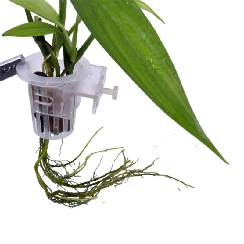 A7THK-2Pcs Transparent Hanging - Aquarium Plant Holder recension och pris