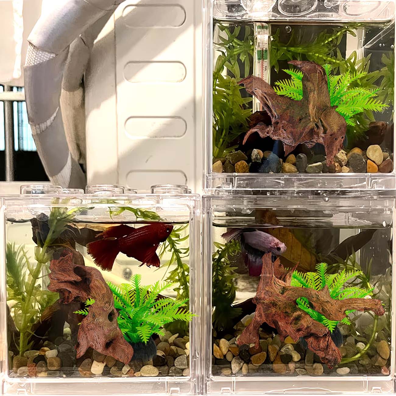 5-10CM Natural Sinkable Driftw - Aquarium Driftwood recension och pris