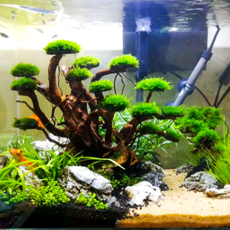 Aquarium Landscaping Moss Tree - Aquarium Driftwood recension och pris
