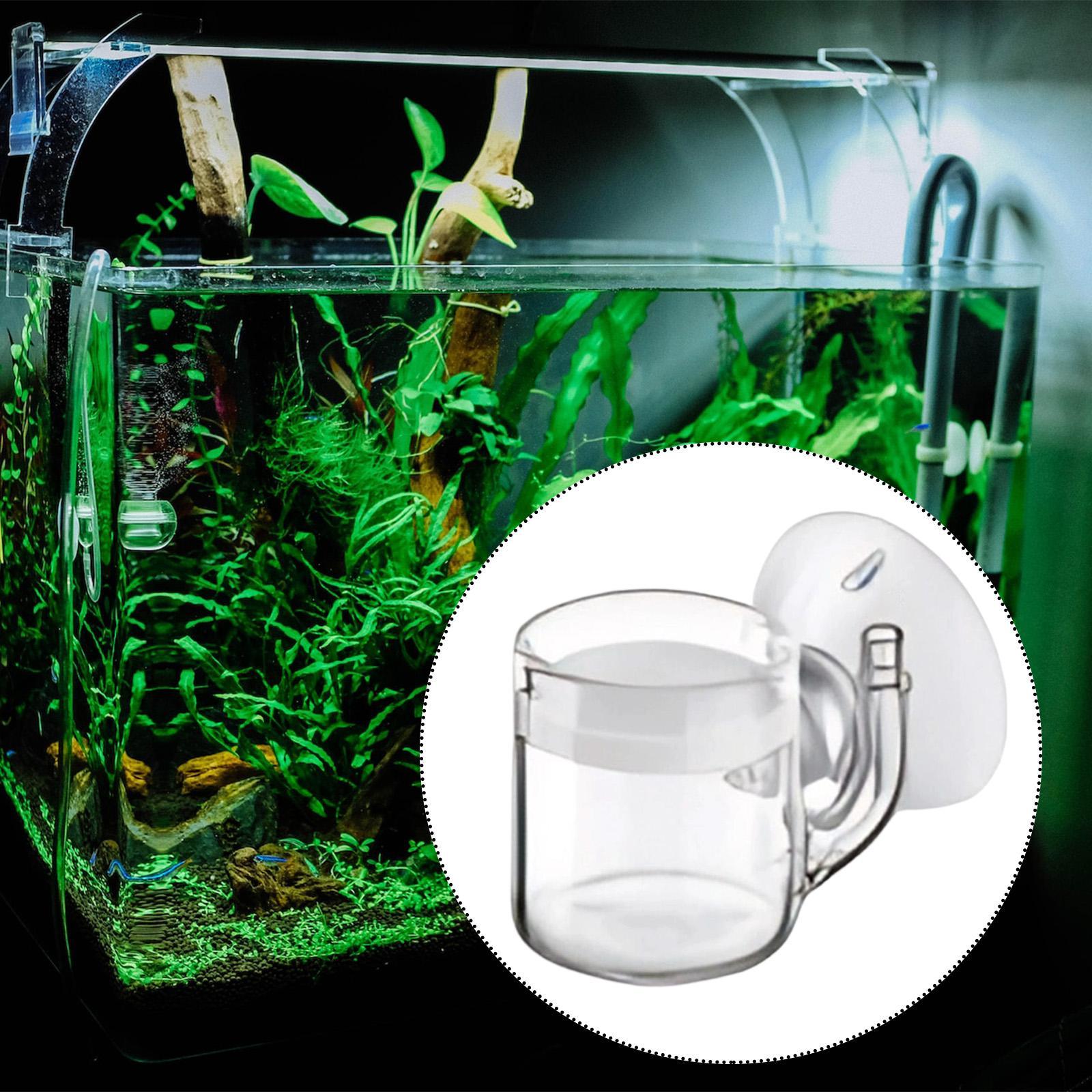 CO2 Diffuser Flat Bottom Silen - Planted Aquarium Cleaning recension och pris