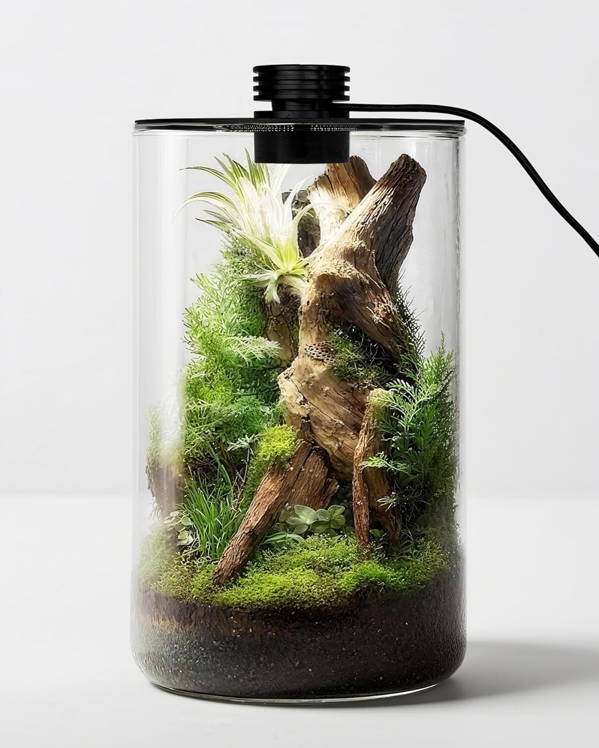 Indoor Glass Terrarium with Gr - Planted Tank recension och pris