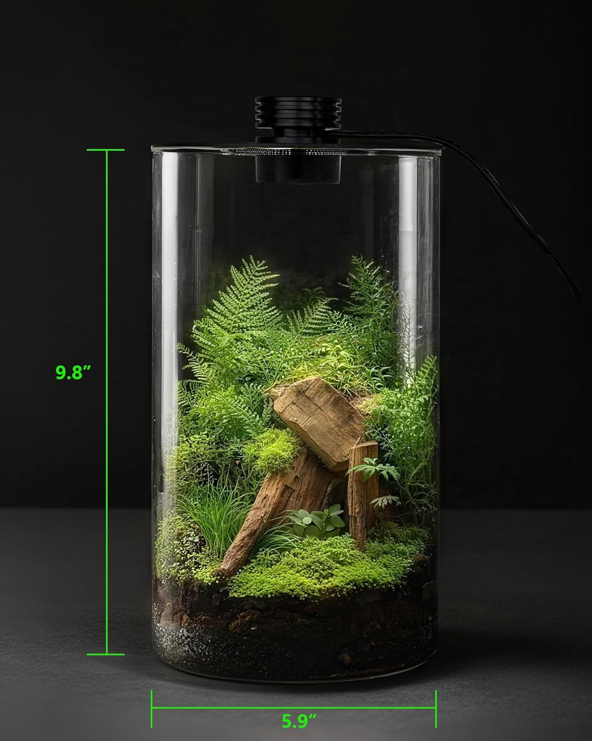 Indoor Glass Terrarium with Gr - Planted Tank recension och pris