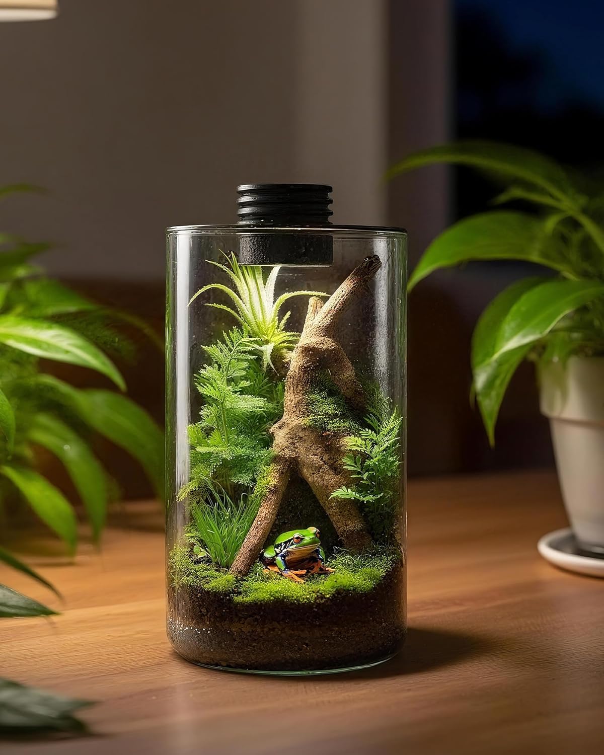 Indoor Glass Terrarium with Gr - Planted Tank recension och pris