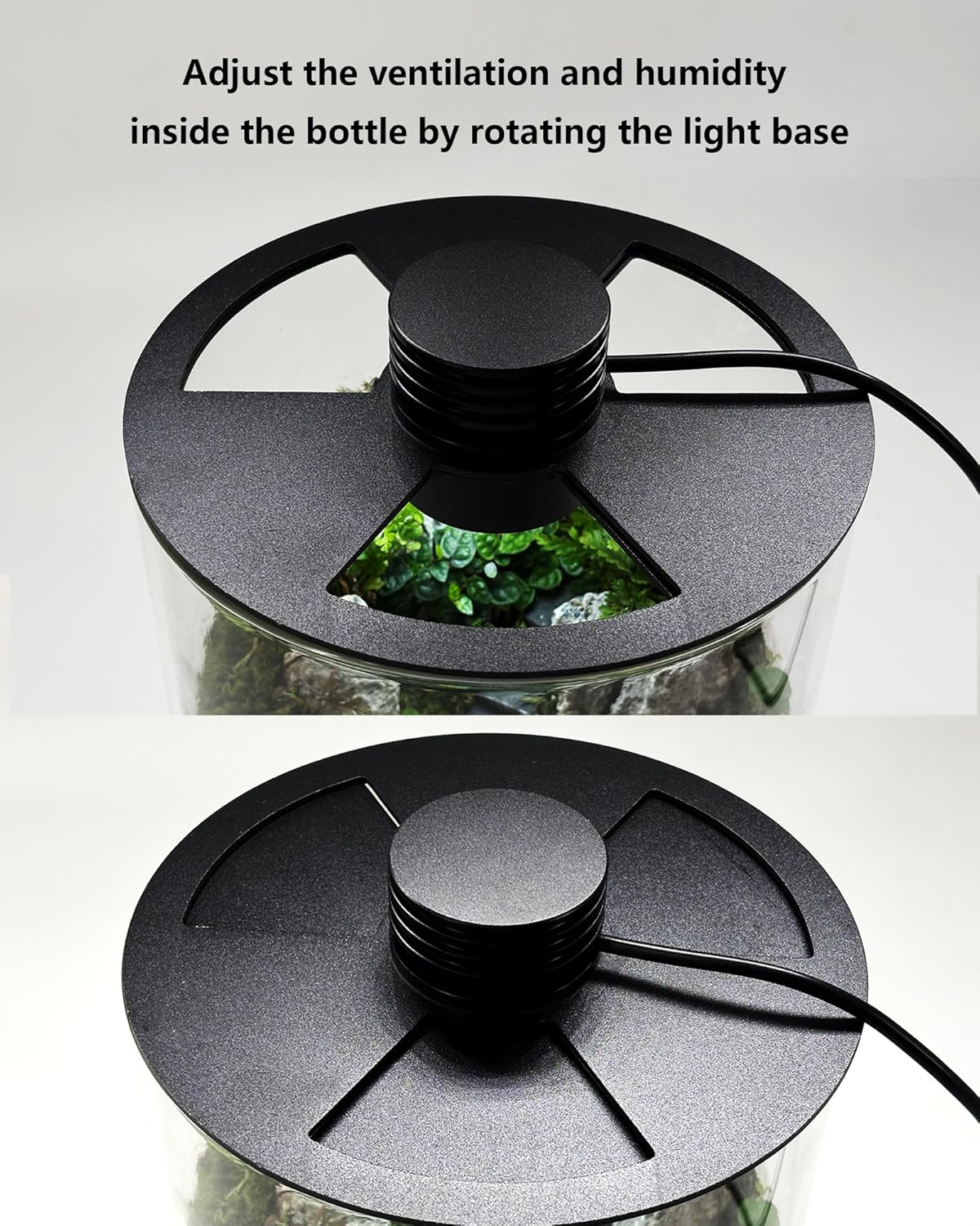Indoor Glass Terrarium with Gr - Planted Tank recension och pris