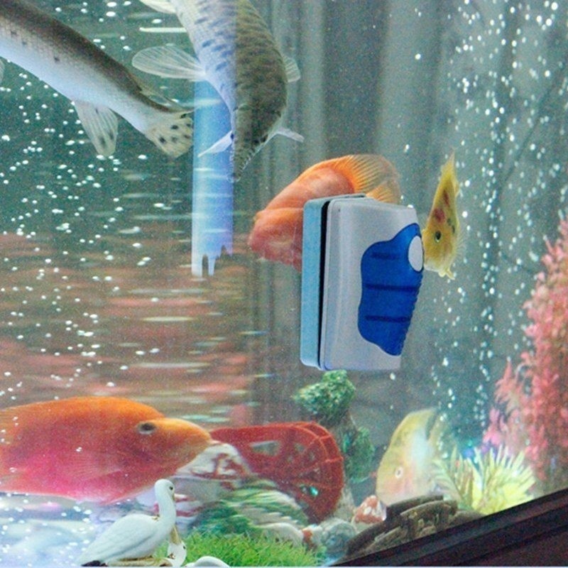 Fish Tank Glass Scraper Cleane - Planted Aquarium Cleaning recension och pris