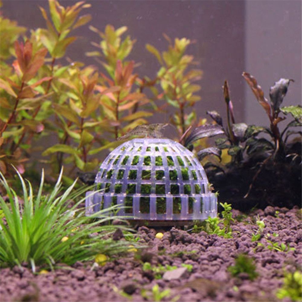 New Plastic Suspension Moss Do - Aquarium Plants Live recension och pris