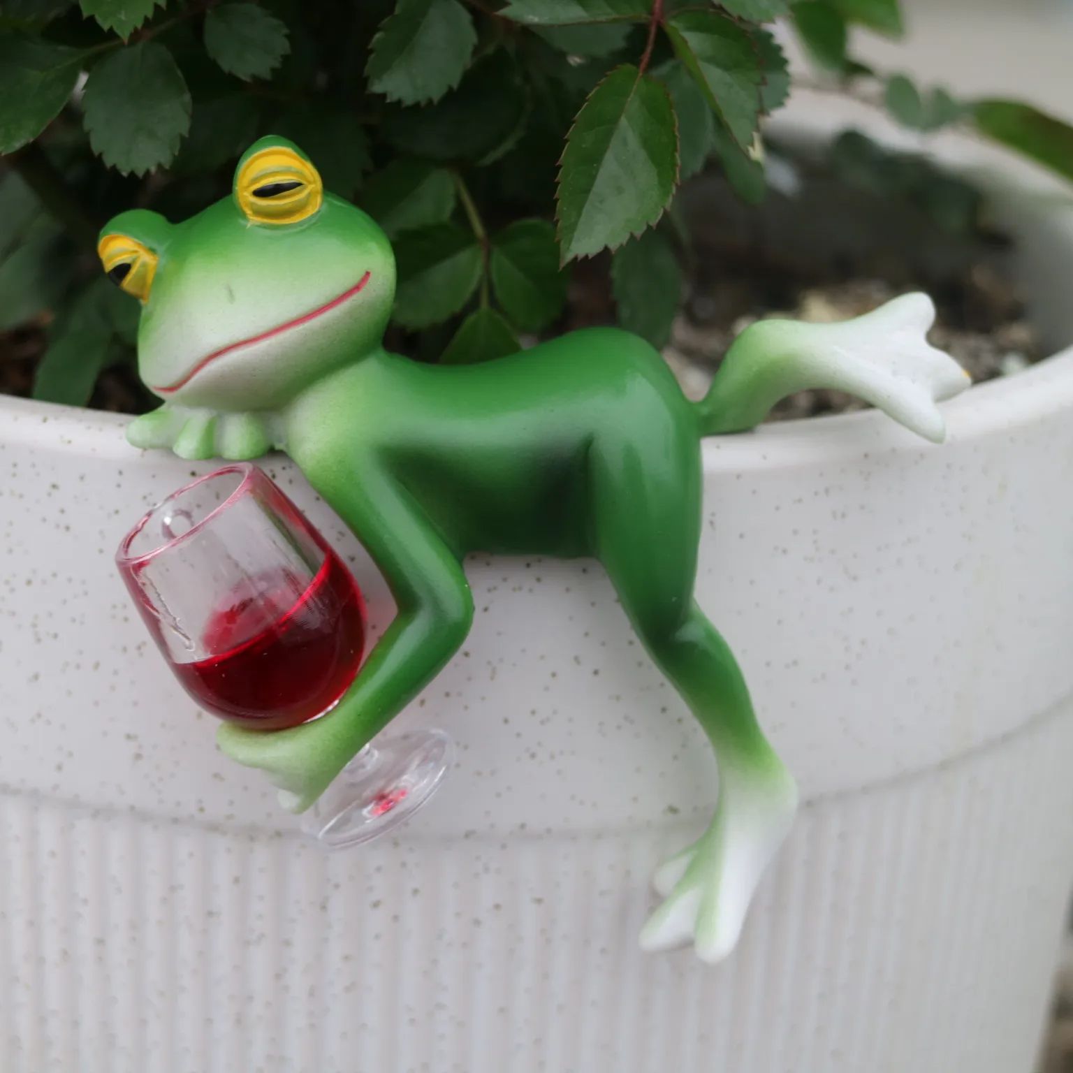 A delightful green frog and wi - Plant Aquarium Pot recension och pris