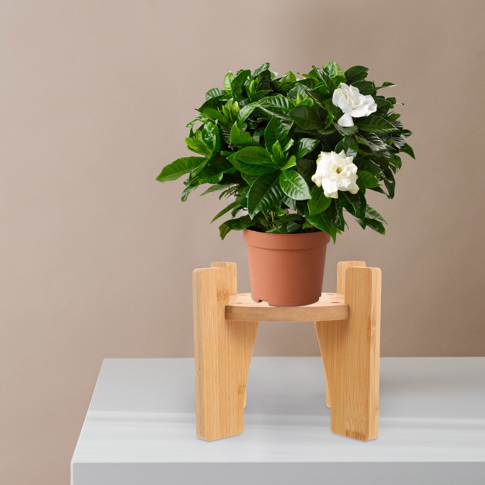 Wooden Drink Dispenser Stand R - Planted Tank recension och pris