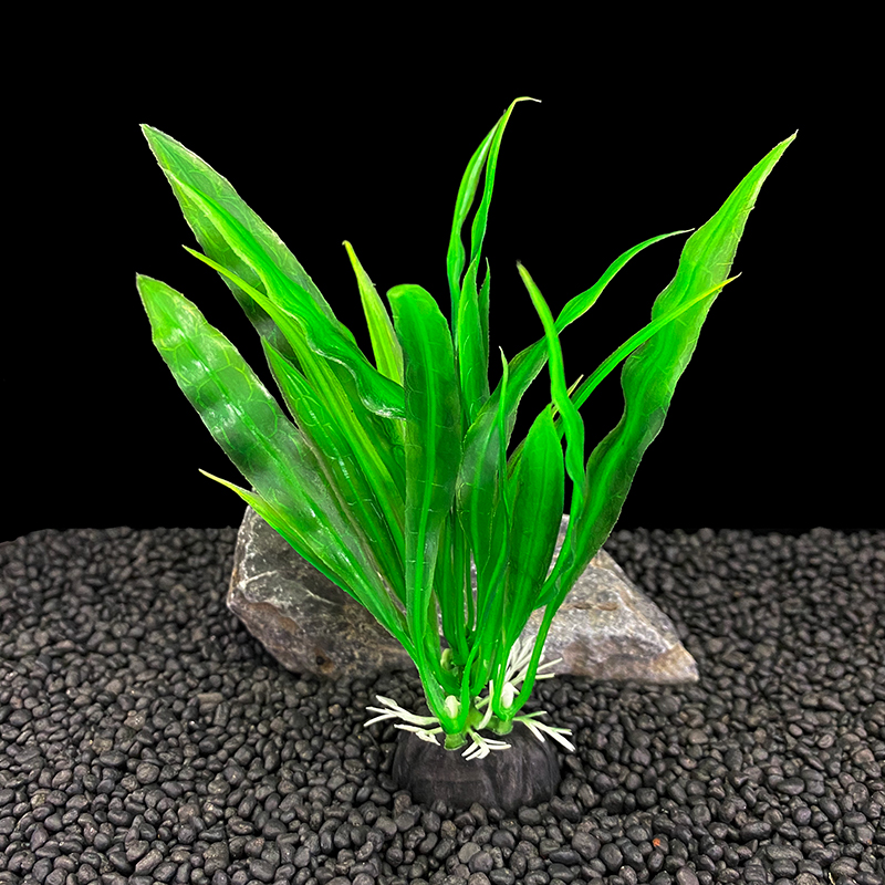 6pcs Packs Aquarium Plants, Fi - Live Plant Aquarium recension och pris